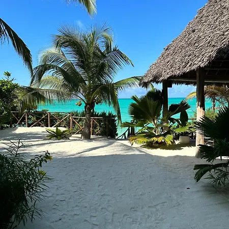 Natural Garden Boutique Hotel Jambiani  Exterior photo