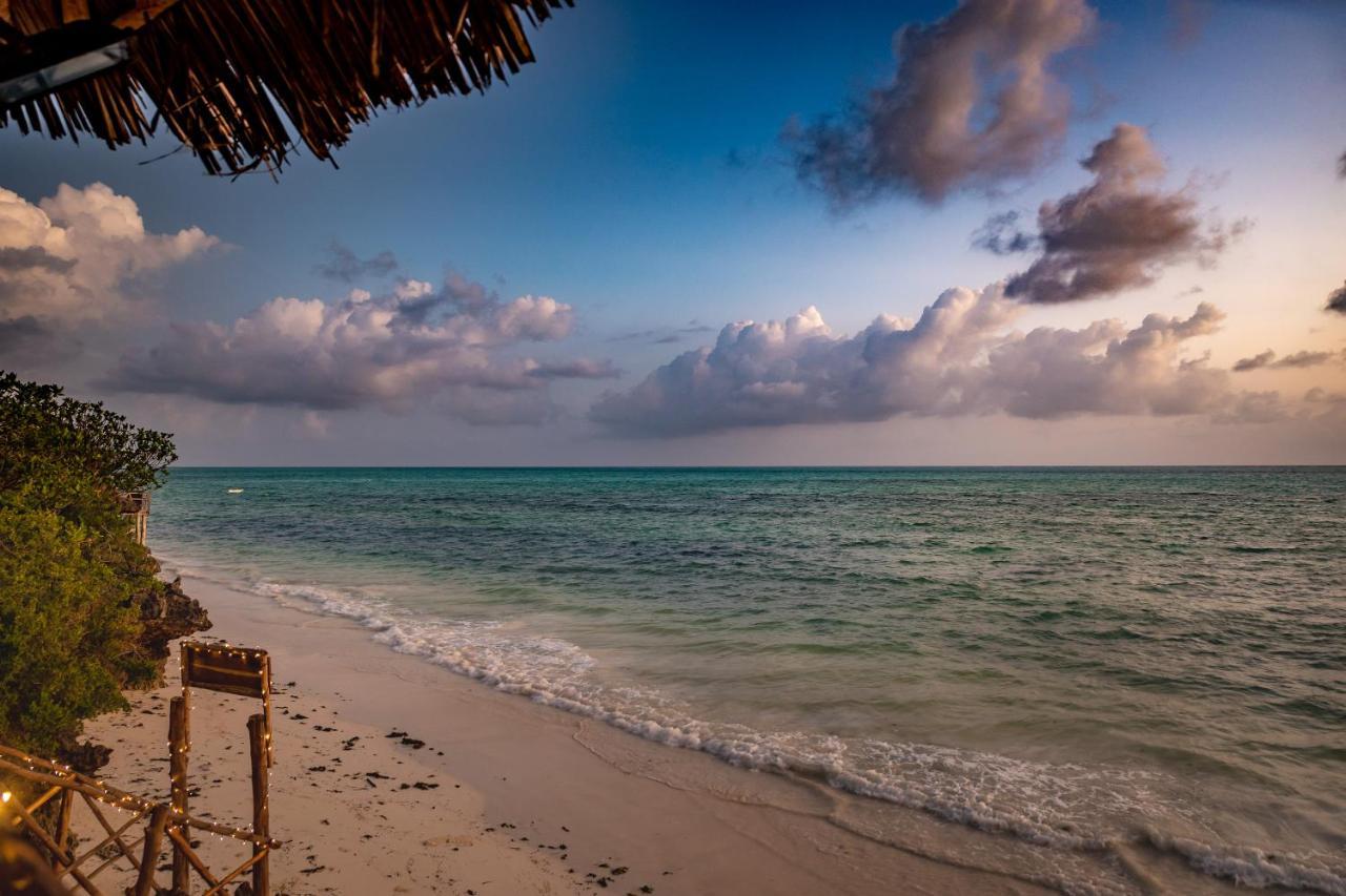 Zanzest Vegan 4* Jambiani (Zanzibar)